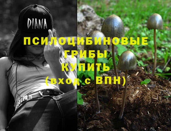 первитин Покачи