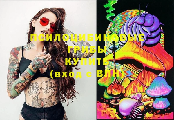 mdpv Кирс