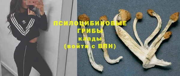 первитин Покачи