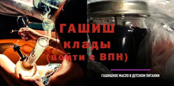 индика Зеленодольск