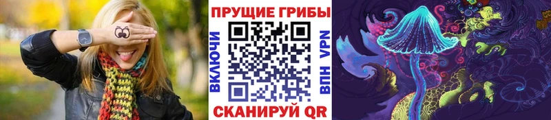 Галлюциногенные грибы мицелий  Себеж 